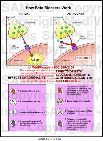 what does beta blockers do|What Do Beta.